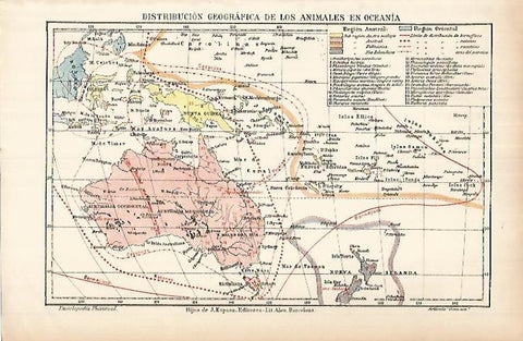LAMINA ESPASA 25935: Mapa de la distribucion de animales en Oceania