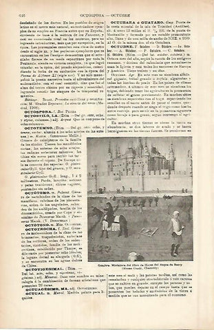 LAMINA ESPASA 25958: Octubre miniatura del Libro de Horas del Duque de Berry