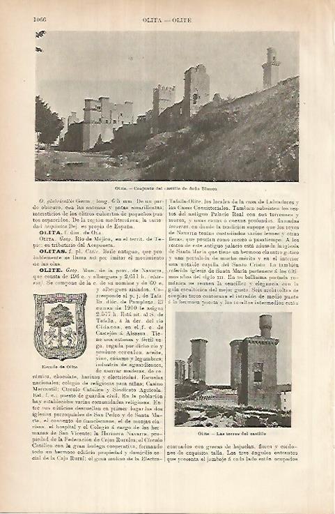 LAMINA ESPASA 26016: Castillo de Doña Blanca de Olite Navarra