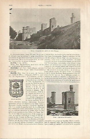 LAMINA ESPASA 26016: Castillo de Doña Blanca de Olite Navarra