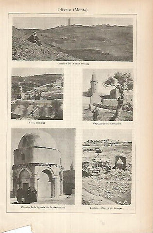 LAMINA ESPASA 26028: Monte Olivete Israel