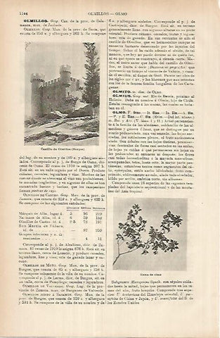 LAMINA ESPASA 26033: Castillo de Olmillos Burgos