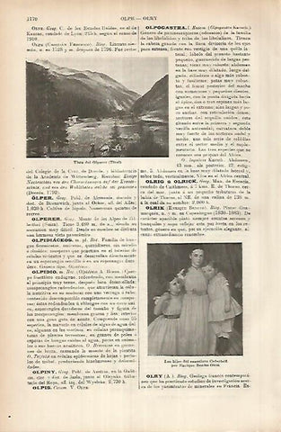 LAMINA ESPASA 26039: Vista del Olperer Tirol