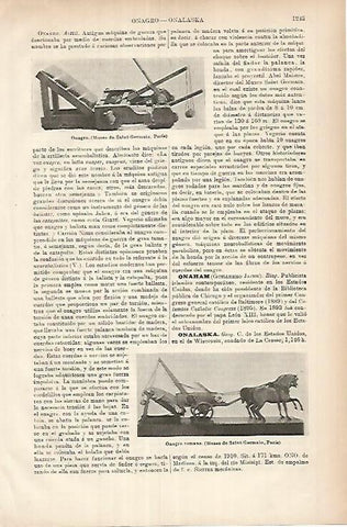 LAMINA ESPASA 26050: Onagro
