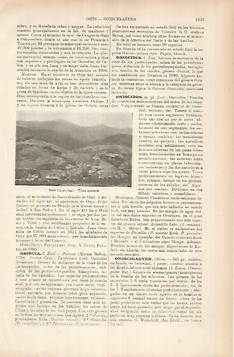 LAMINA ESPASA 26053: Vista de Onis Asturias