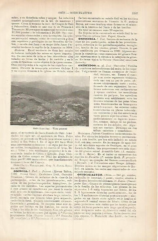 LAMINA ESPASA 26053: Vista de Onis Asturias