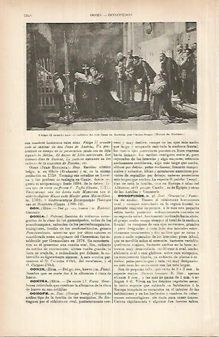 LAMINA ESPASA 26064: Felipe Ii orando por Carlos Ooms