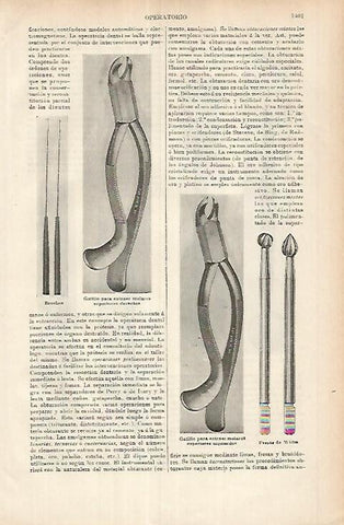 LAMINA ESPASA 26069: Utensilios para dentistas