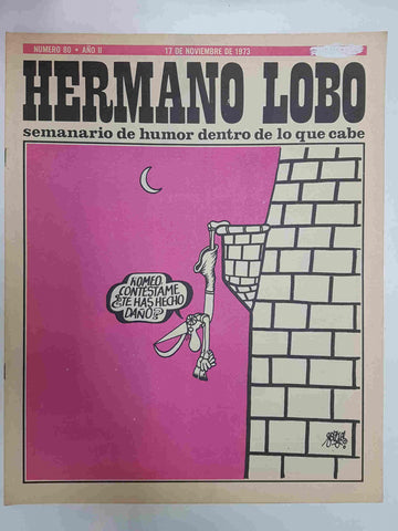 Hermano Lobo numero  080: portada de Forges