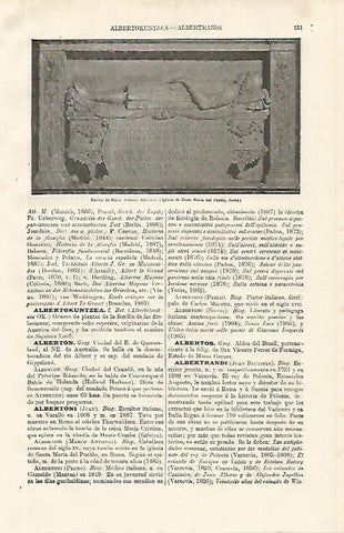LAMINA ESPASA 9941: Tumba de Marco Antonio Albertoni