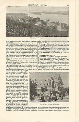 LAMINA ESPASA Alemania 17011: Vista de Rudesheim Alemania