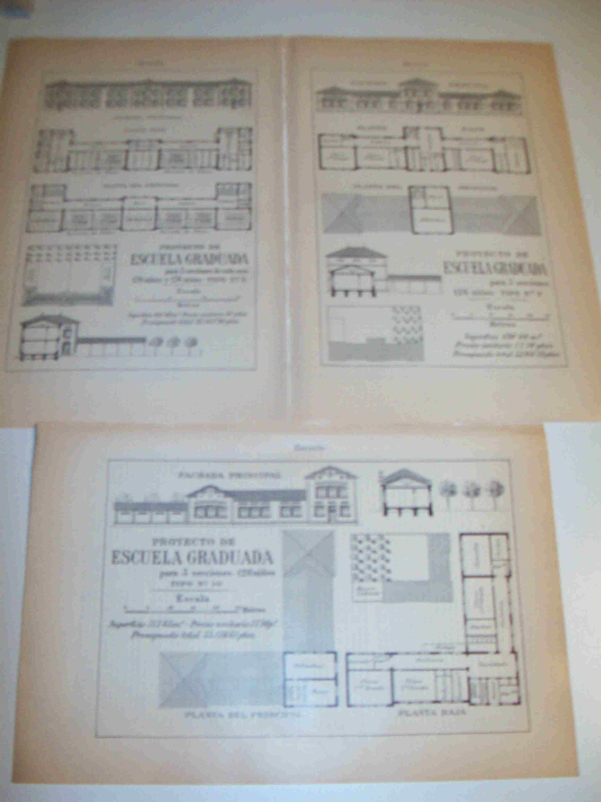 LAMINA ESPASA 18945: Proyecto de escuela graduada