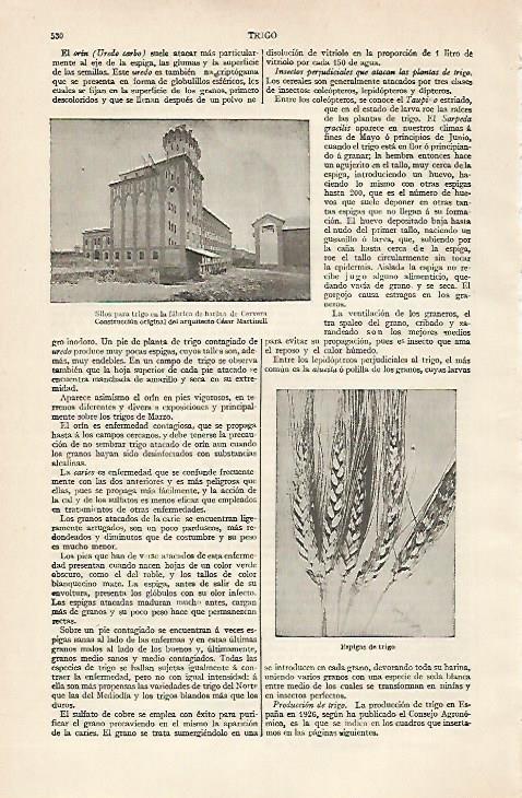 LAMINA ESPASA 20415: Fabrica de harina de Cervera