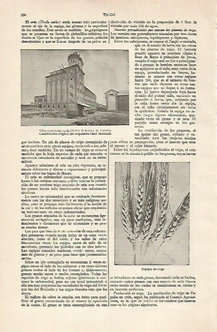 LAMINA ESPASA 20415: Fabrica de harina de Cervera