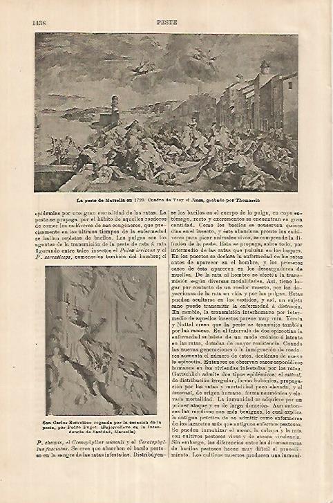 LAMINA ESPASA 18115: La peste de Marsella de 1720 por Troy el Joven