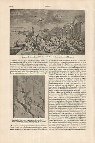 LAMINA ESPASA 18115: La peste de Marsella de 1720 por Troy el Joven