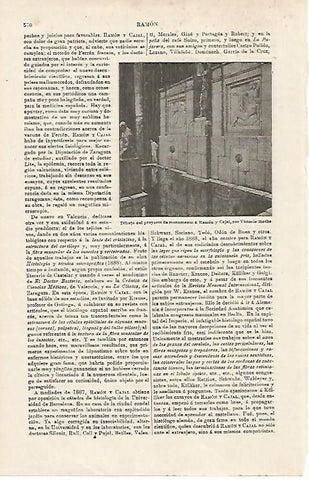 LAMINA ESPASA 15943: Dibujo delproyecto del monumento a Ramon y Cajal