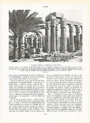 LAMINA 9384: Luxor: Columnata de Amenosis III