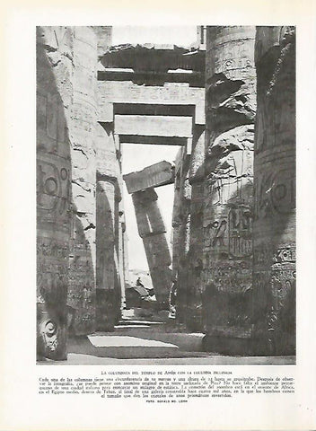 LAMINA 9411: Karnak: Columnata del Templo de Amon