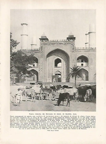 LAMINA 9503: Agra: Puerta del Mausoleo de Akbar