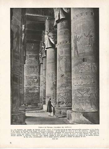 LAMINA 9508: Dendera: Hipostilo del Templo de Hathor