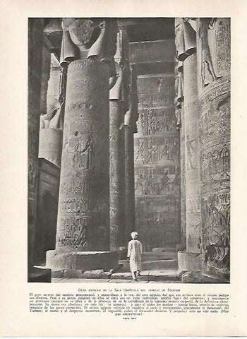 LAMINA 9510: Dendera: Sala Hipostila del Templo de Hathor