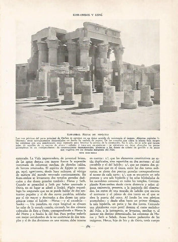 LAMINA 9566: Kom Ombo: Restos del Hipostilo