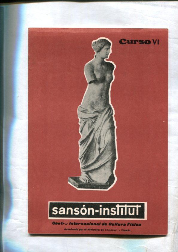 Sanson Institut: Curso VI