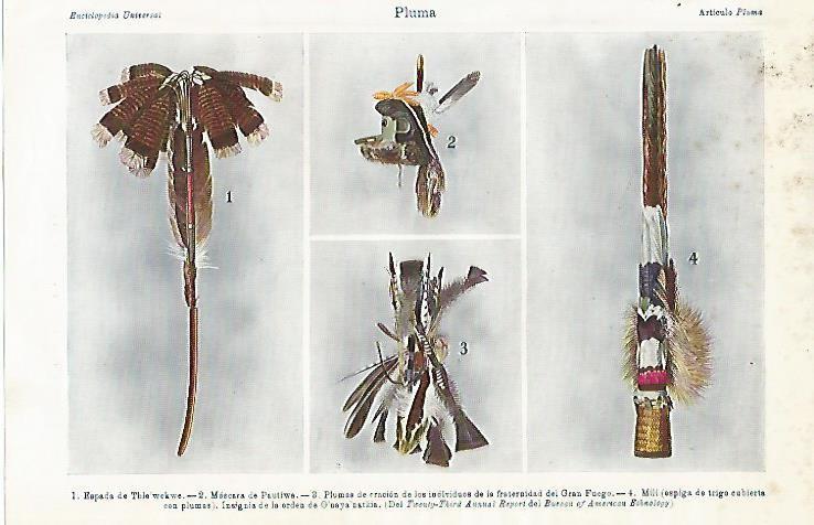 LAMINA ESPASA 3307: Ejemplos de pluma