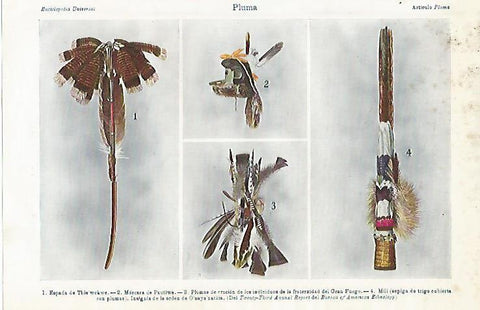 LAMINA ESPASA 3307: Ejemplos de pluma