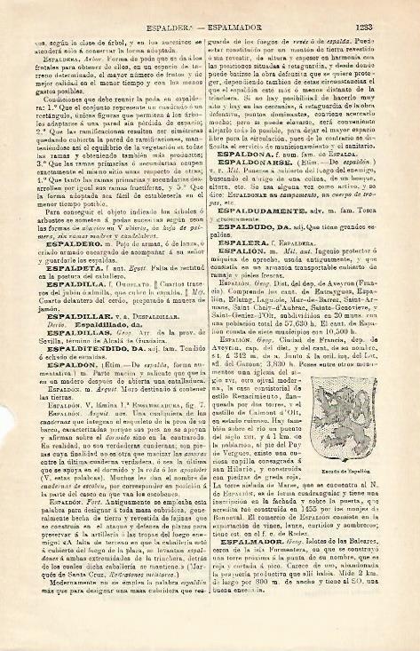 LAMINA ESPASA 16709: Escudo de Espalion Francia