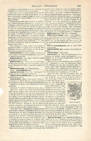 LAMINA ESPASA 16709: Escudo de Espalion Francia