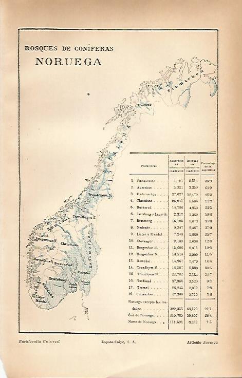 LAMINA ESPASA 20256: Mapa de los bosques de Noruega