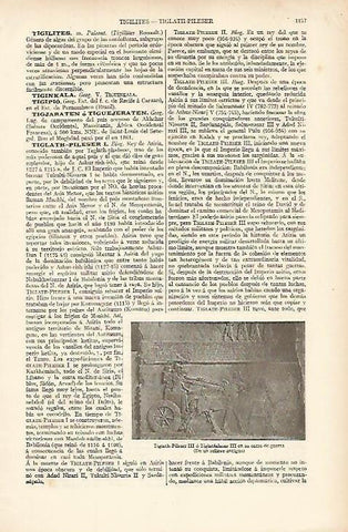 LAMINA ESPASA 8442: Relieve asirio de Tiglat-pileser III