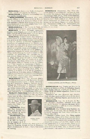 LAMINA ESPASA 24319: Verbena madrileña por Jose Bermejo Sobera