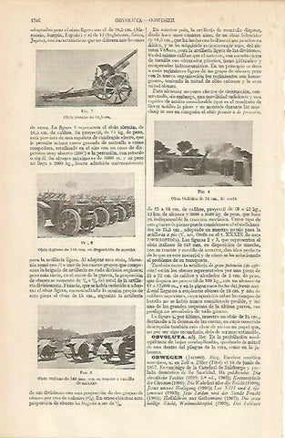 LAMINA ESPASA 4972: Obus