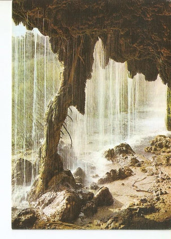 Postal 030084 : Cuenca. Nacimiento del rio Cuervo y Pino Fosilizado (Columna dela Cueva)