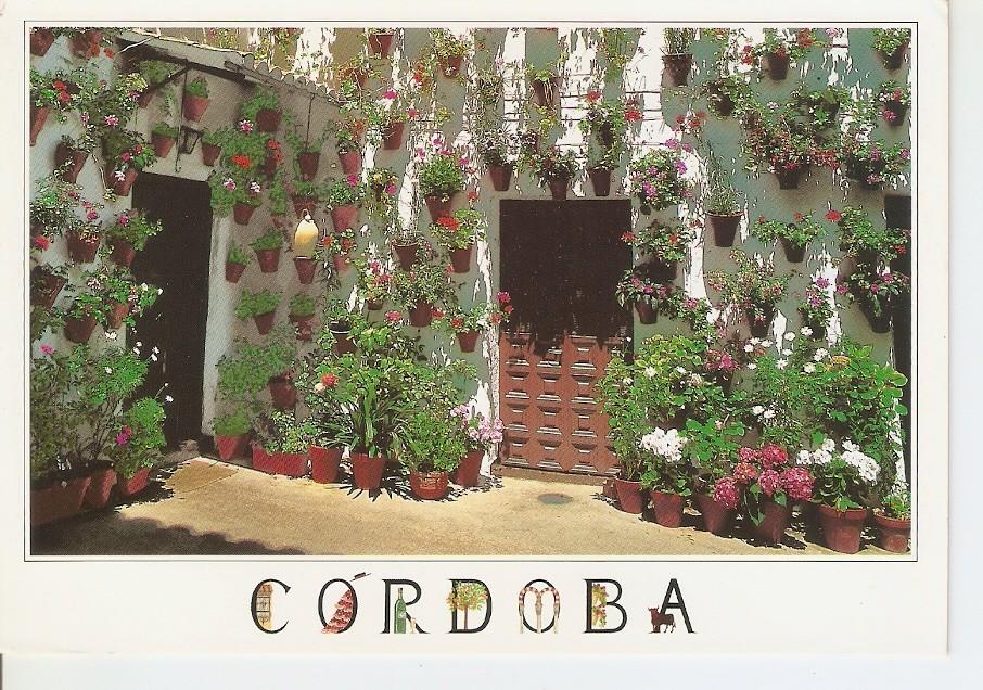 Postal 039007 : Cordoba. Patio Cordobes