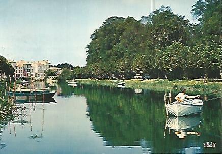 POSTAL 17956: SAUJON