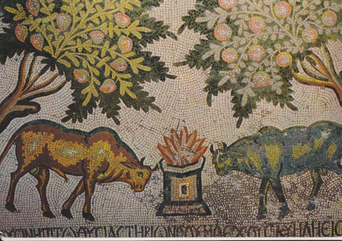 Postal 61998 : Mosaic at Mukhayat
