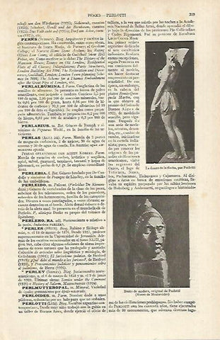 LAMINA ESPASA 26106: La danza de la flecha por Perlotti