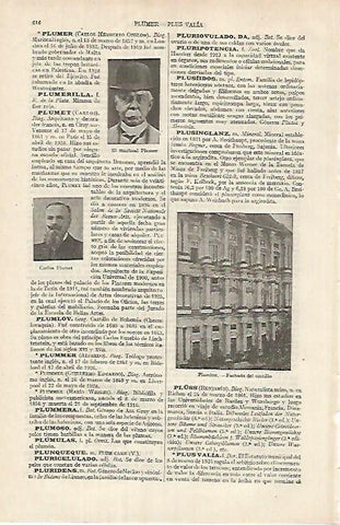 LAMINA ESPASA 26126: Castillo de Plumlov