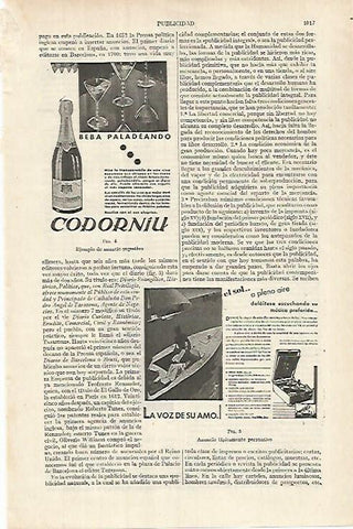 LAMINA ESPASA 26157: Publicidad de Codorniu 