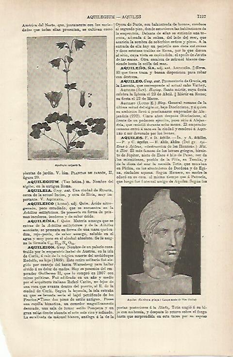LAMINA ESPASA 26234: Aquiles busto griego