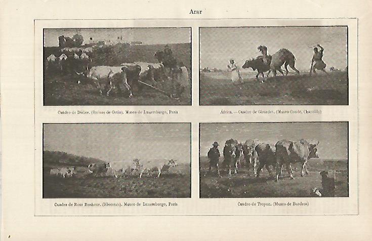 LAMINA ESPASA 26261: Arar por Didier Girardet Rosa Bonheur y Troyon