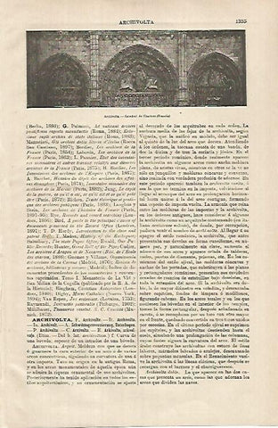 LAMINA ESPASA 26284: Archivolta de la Catedral de Chartres Francia