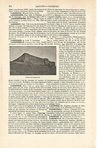 LAMINA ESPASA 26332: Castillo de Lagopesole