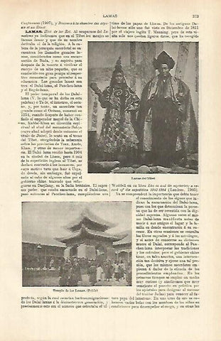 LAMINA ESPASA 26344: Lamas del Tibet