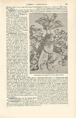 LAMINA ESPASA 26347: Lamberquines de las armas del Leon por Durero