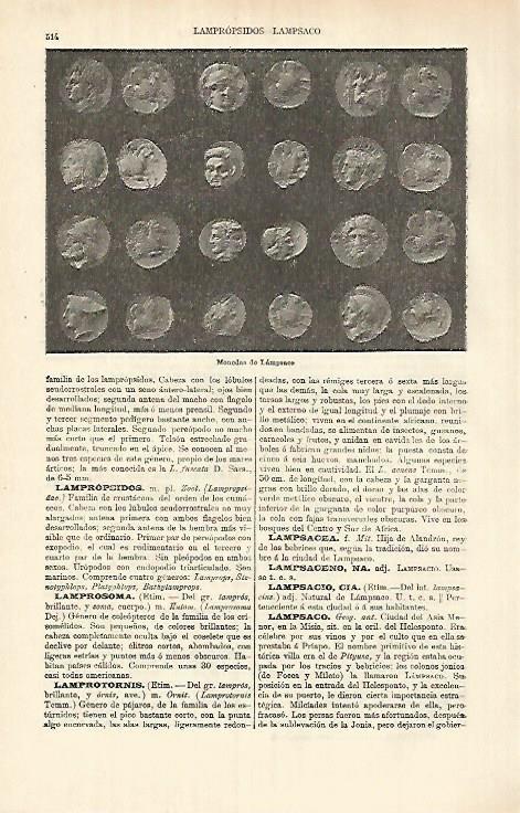 LAMINA ESPASA 26372: Monedas de Lampsaco